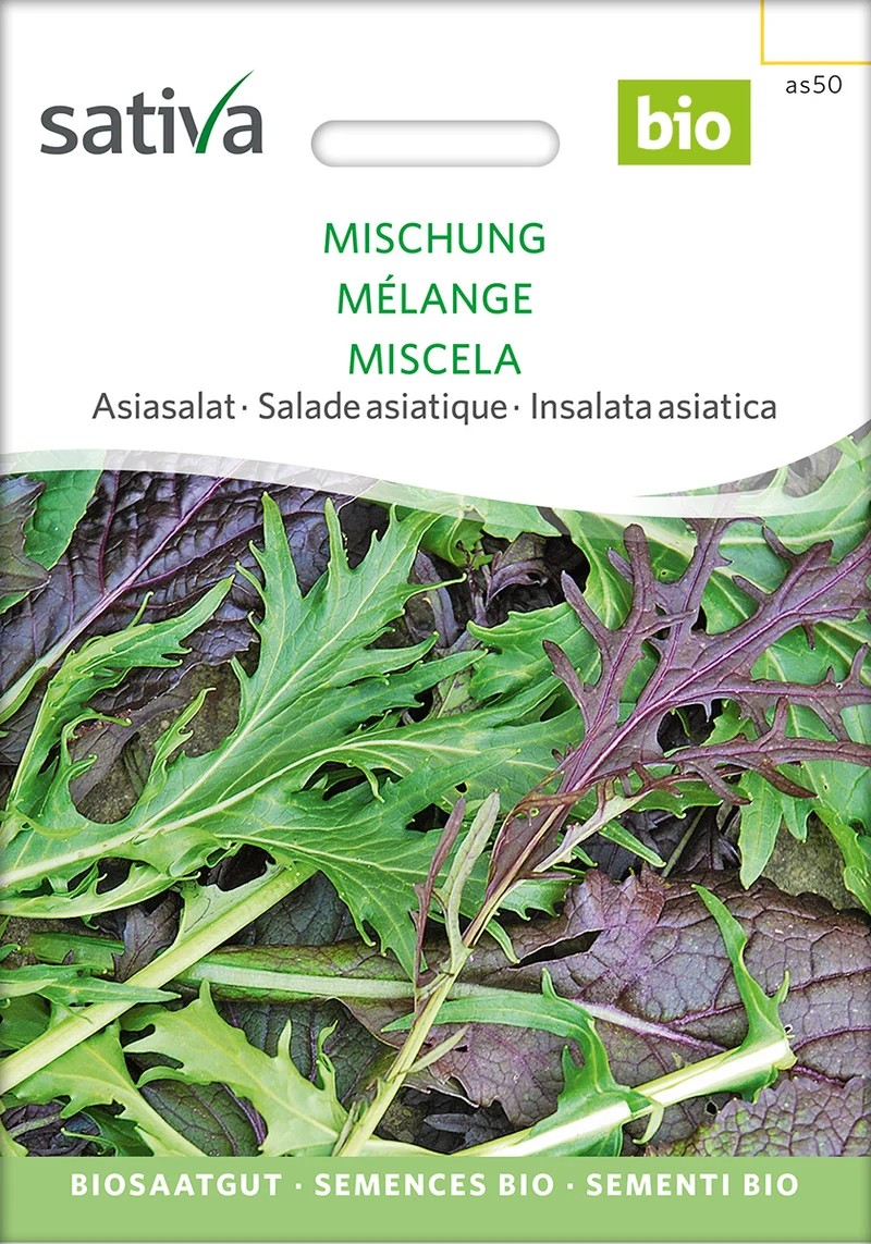BIO Saatgut Asiasalat Mischung
