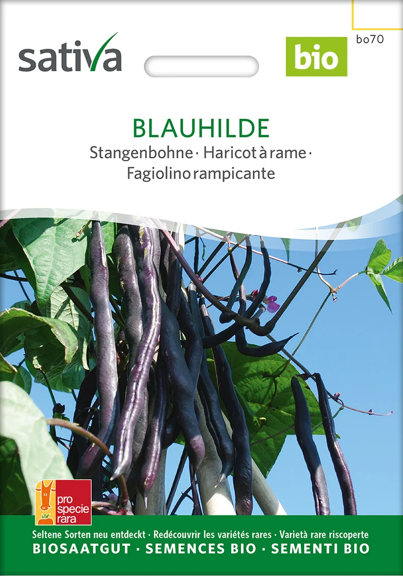 BIO Saatgut Stangenbohne Blauhilde
