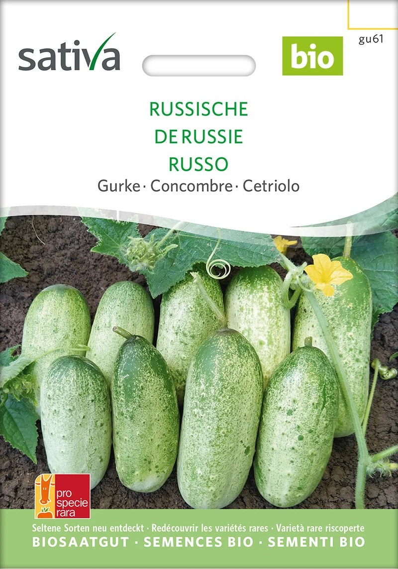 BIO Saatgut Gurke russische