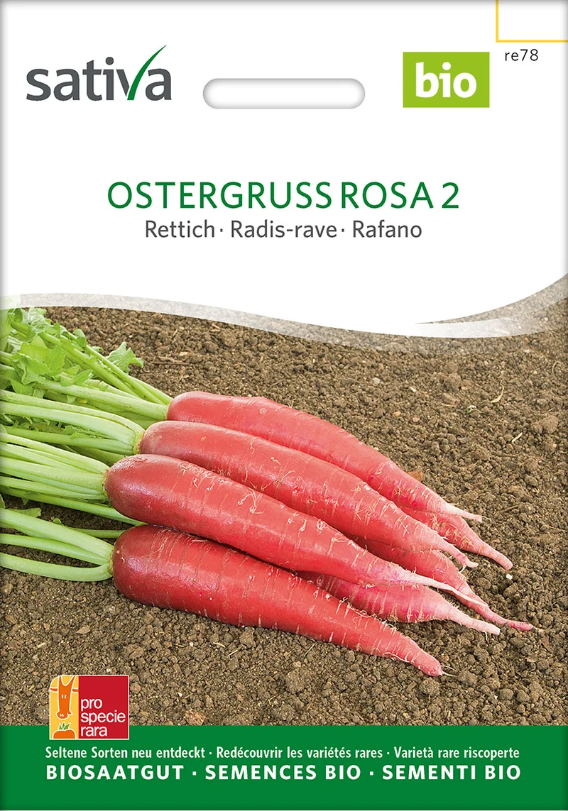 BIO Saatgut Rettich rosa Ostergruß 2
