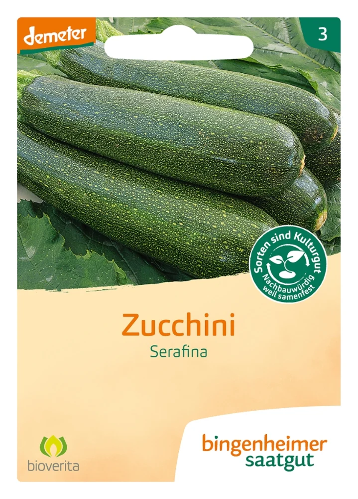 BIO Saatgut Zucchini Serafina