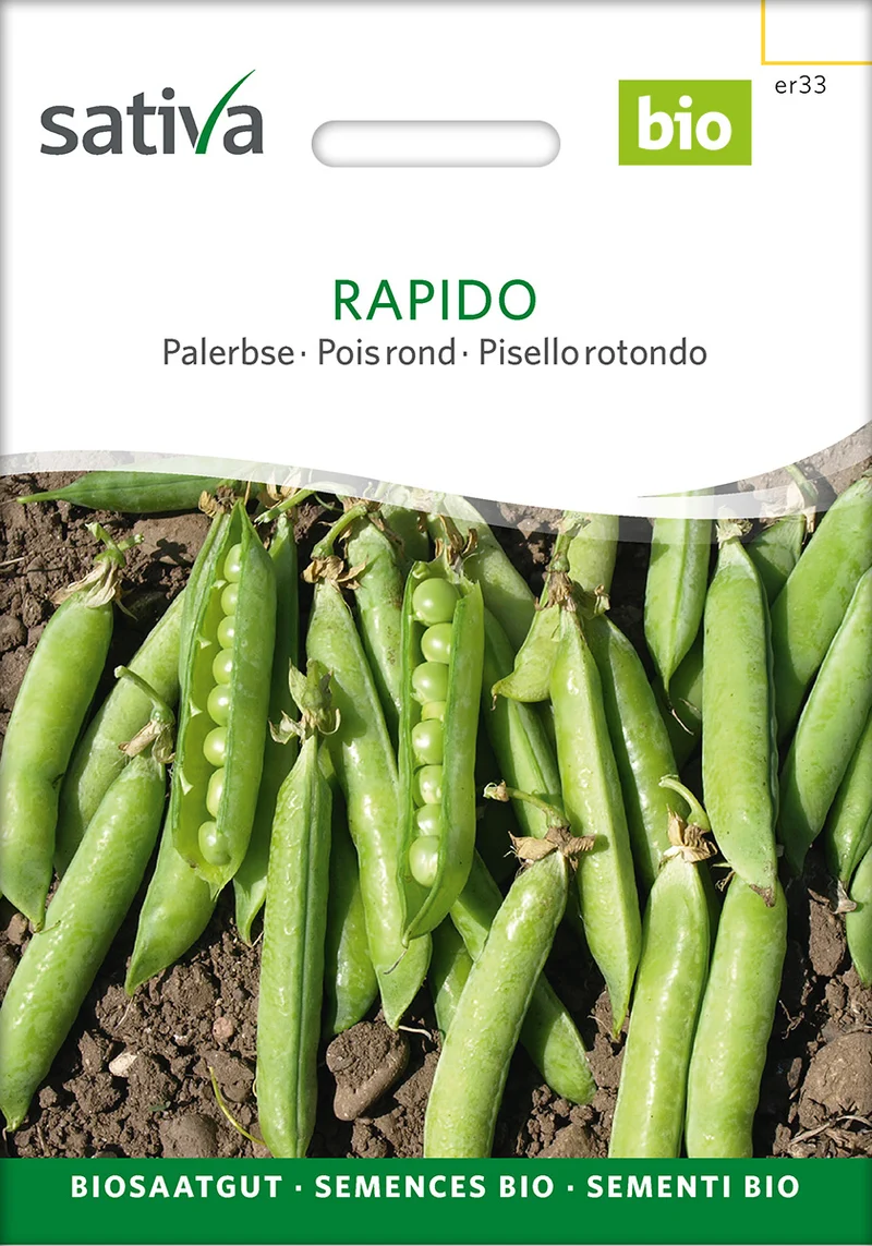 BIO Saatgut Palerbse Rapido