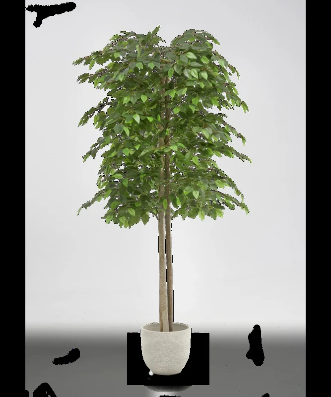 B-Ware Maia Shop Künstliche 2 Baumkronen Ficus Kunstpflanze Wohnzimmer Dekoration 150cm
