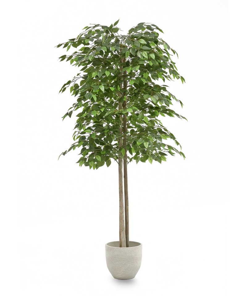 B-Ware Maia Shop Künstliche 2 Baumkronen Ficus Kunstpflanze Wohnzimmer Dekoration 150cm