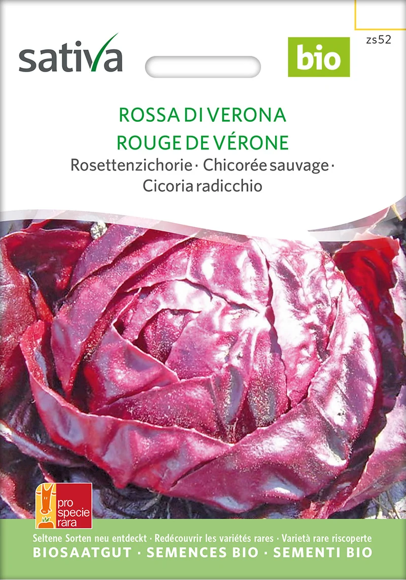 BIO Saatgut Radicchio Roter von Verona