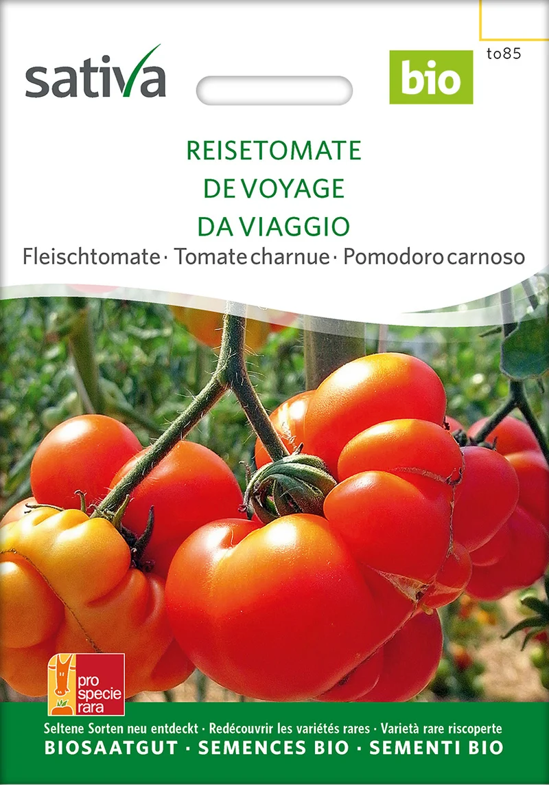 BIO Saatgut Reisetomate