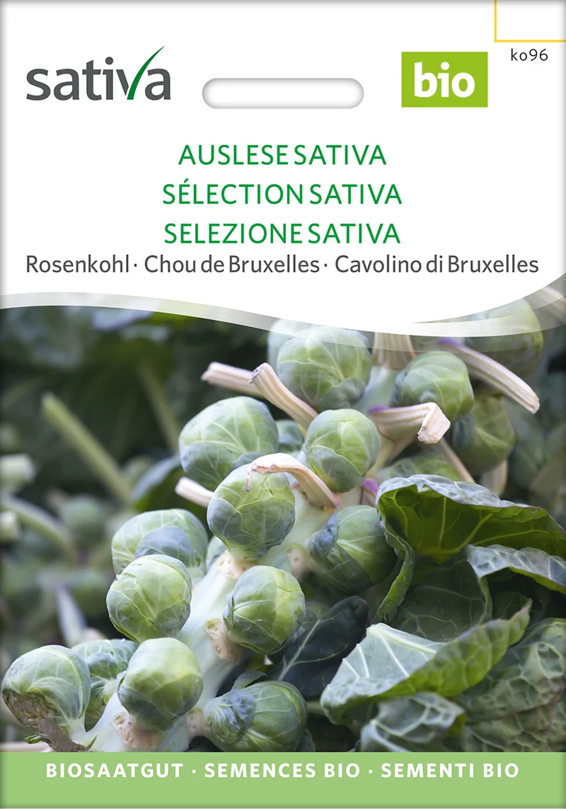 BIO Saatgut Rosenkohl Auslese