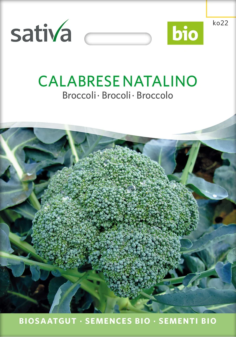 BIO Saatgut Brokkoli Calabrese Natalino