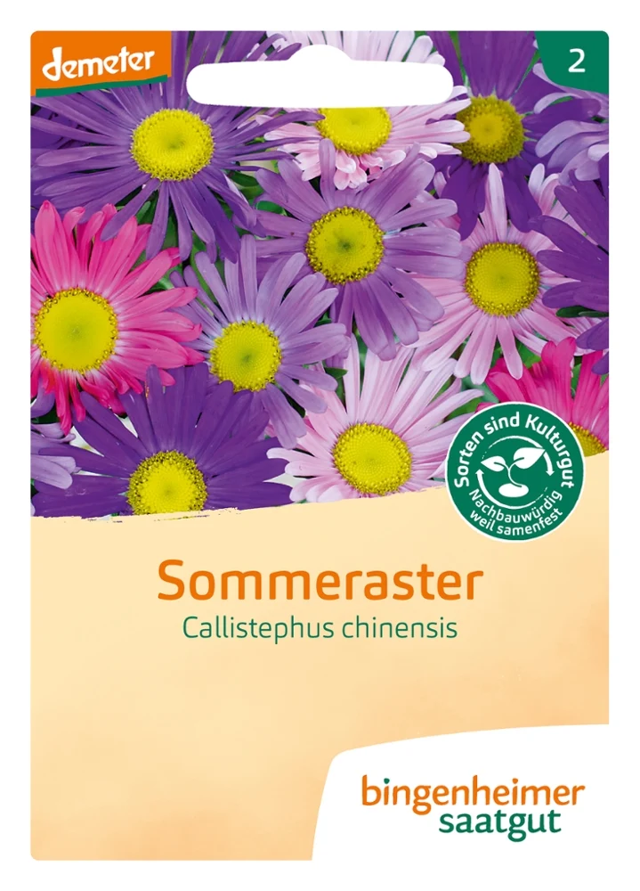 BIO Saatgut Sommeraster