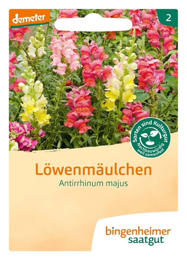 BIO Saatgut Löwenmäulchen