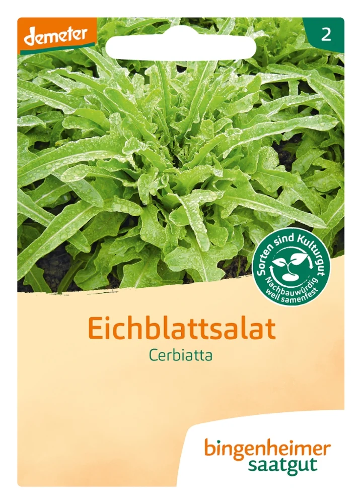 BIO Saatgut Pflücksalat Cerbiatta