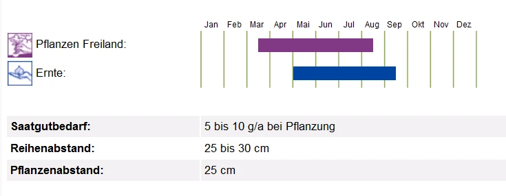 BIO Saatgut Pflücksalat Cerbiatta