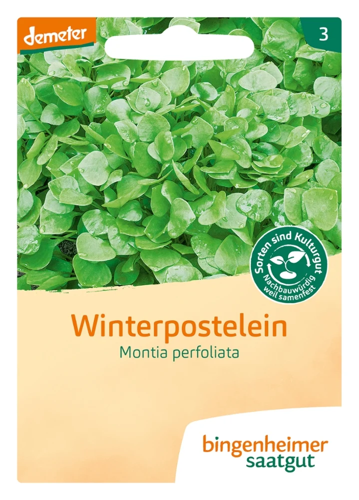 BIO Saatgut Winterpostelein