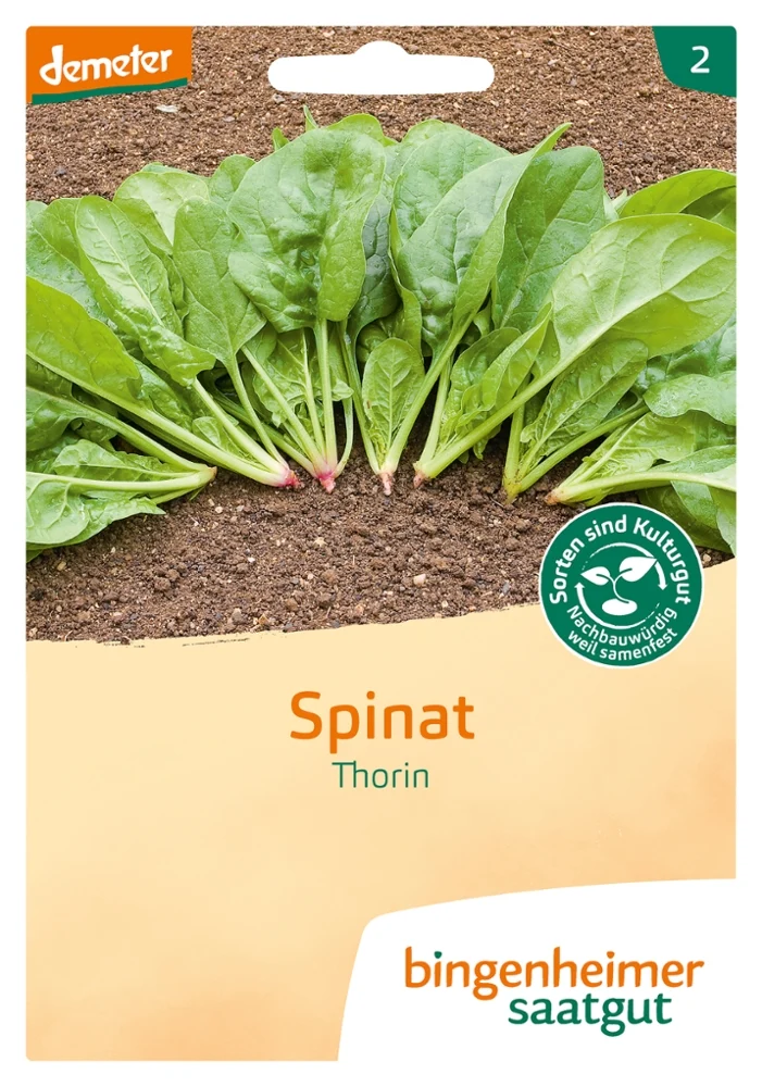 BIO Saatgut Spinat Thorin (Matador)