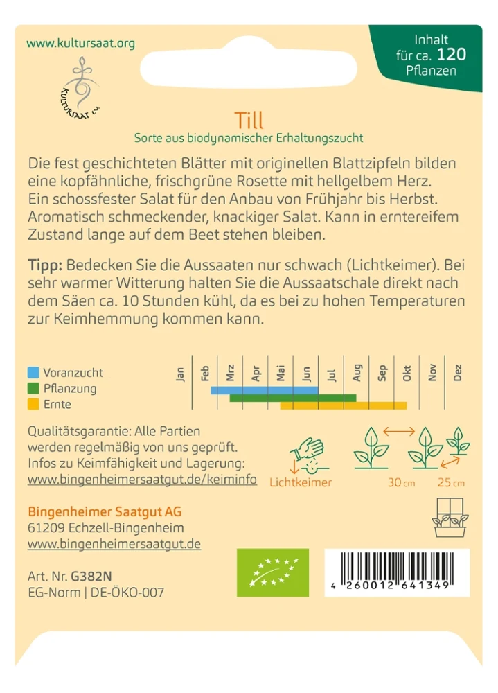 BIO Saatgut Pflücksalat Till