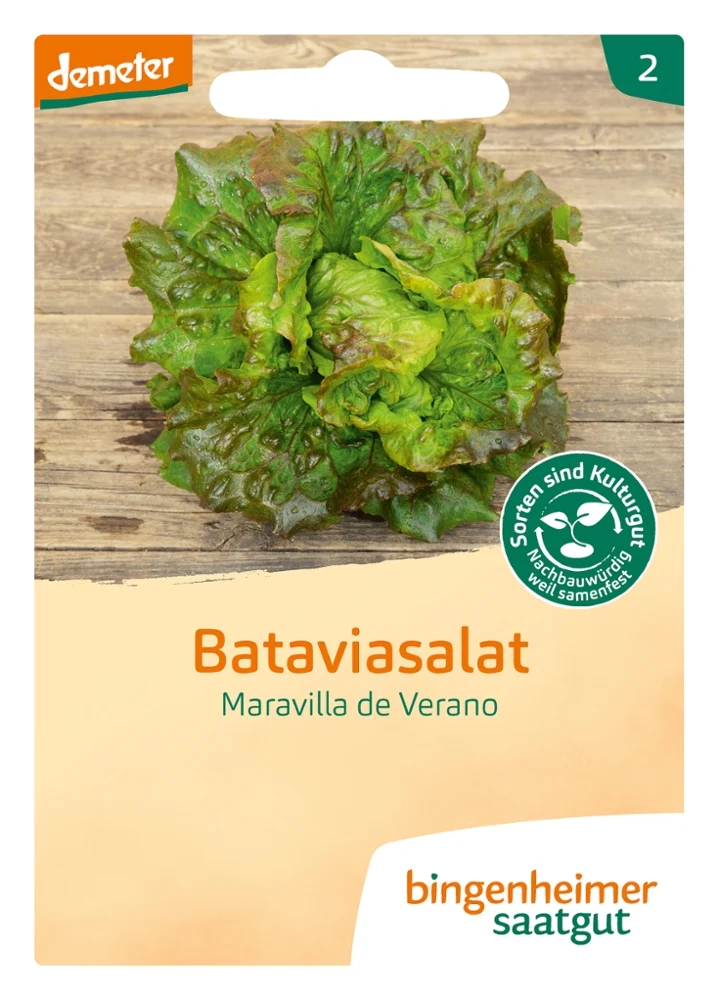 BIO Saatgut Bataviasalat Maravilla de Verano