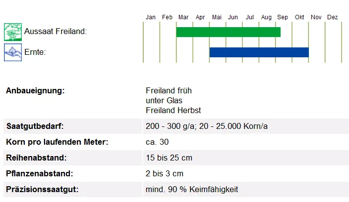 BIO Saatgut Radies Eiszapfen