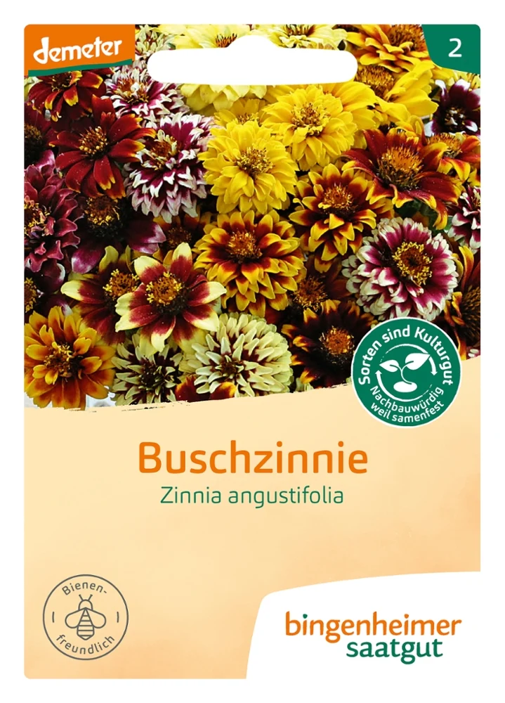 BIO Saatgut Buschzinnie