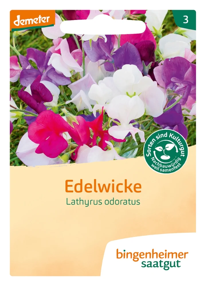 BIO Saatgut Edelwicke