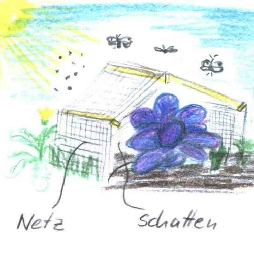 Kulturschutznetz 5 x 2.1 m biologisch abbaubar