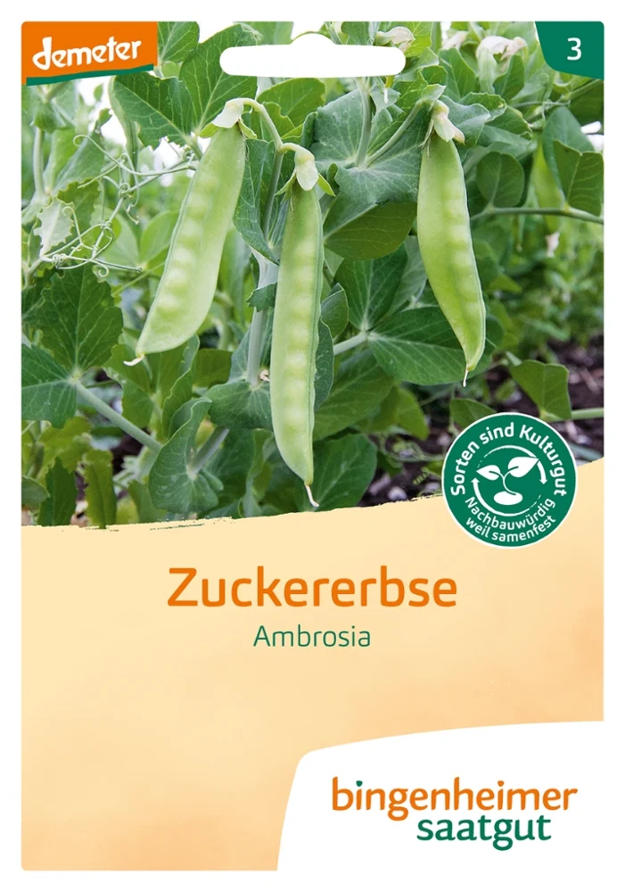 BIO Saatgut Zuckererbse Ambrosia