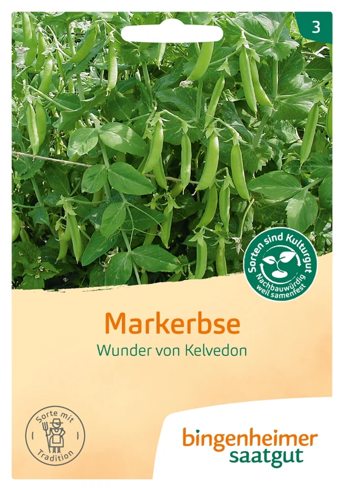 BIO Saatgut Markerbse Wunder von Kelvedon