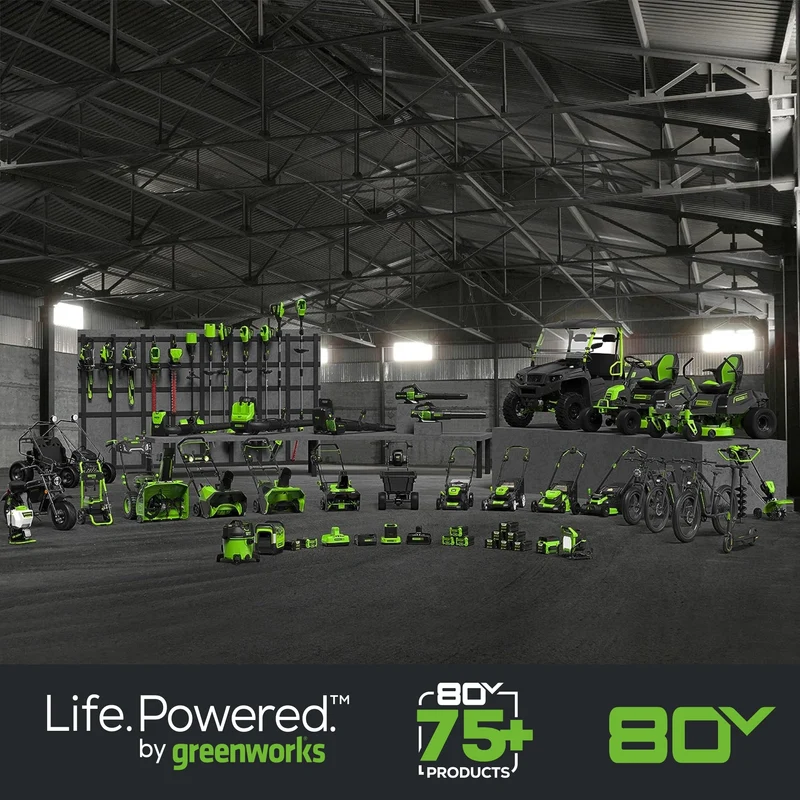 80V 750CFM Cordless Battery Leaf Blower: 2.5 Ah Battery and Charger