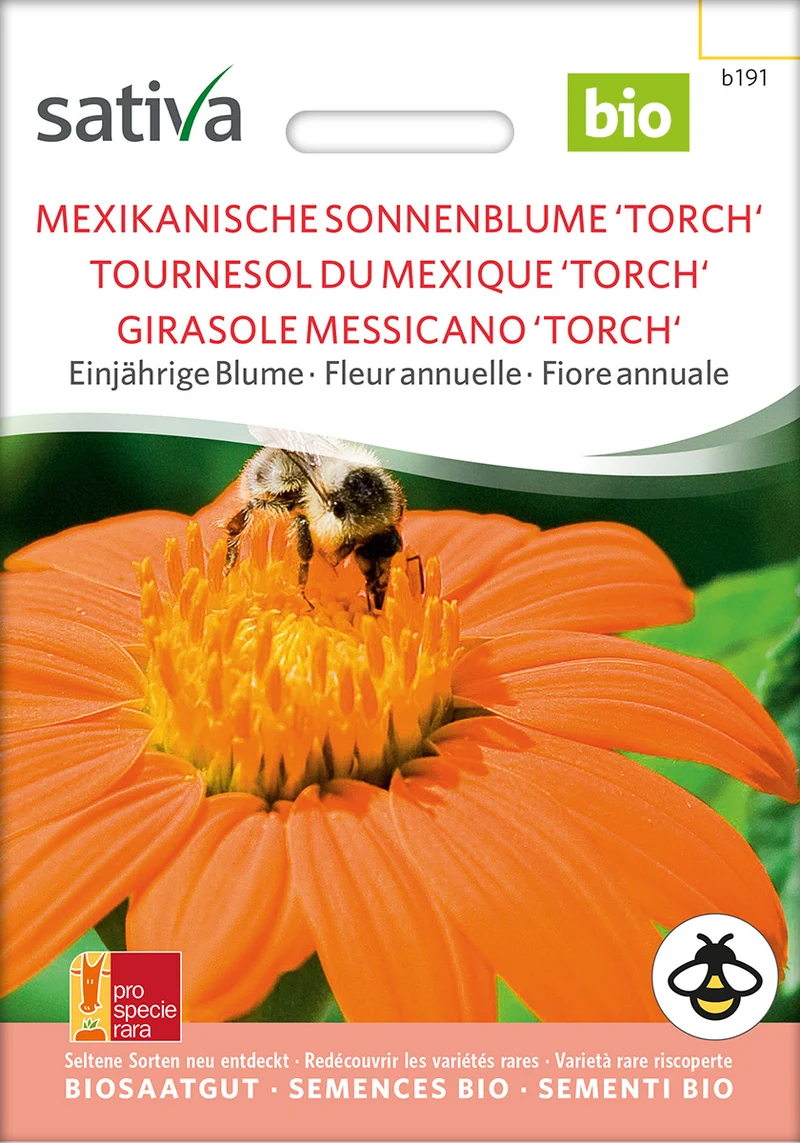 BIO Saatgut Mexikanische Sonnenblume Torch