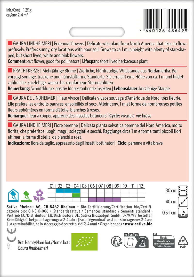 BIO Saatgut Prachtkerze