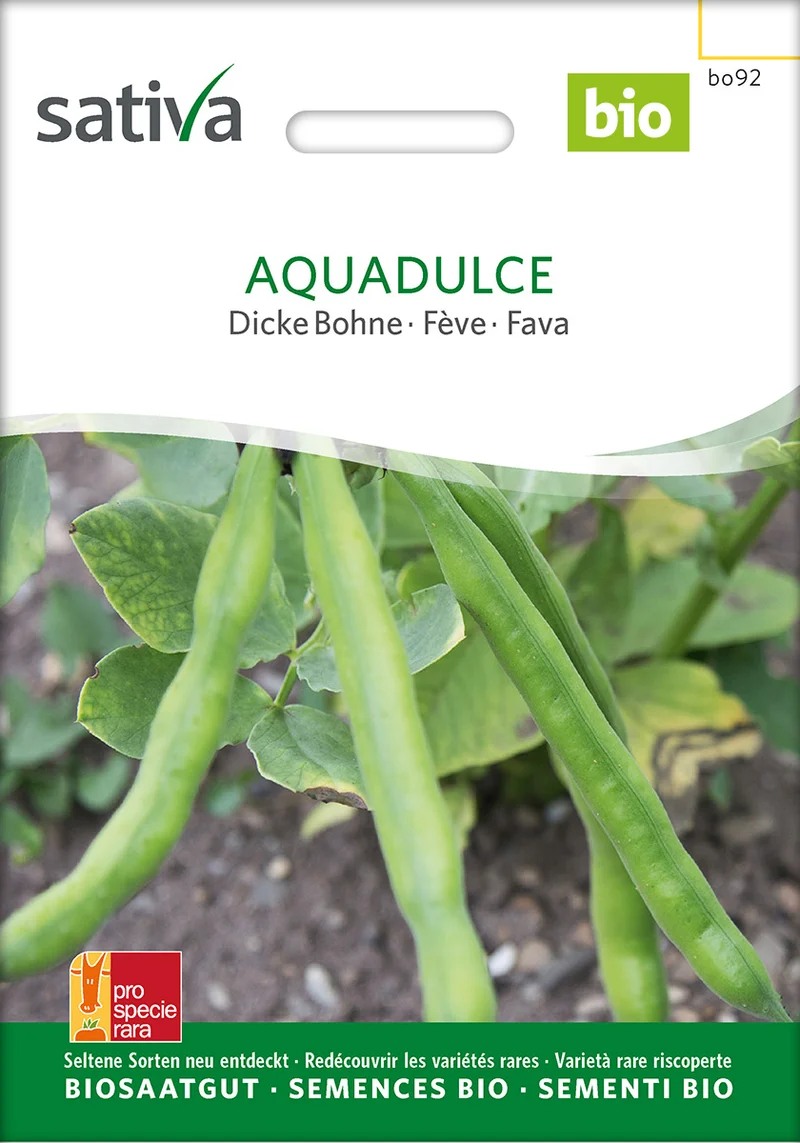 BIO Saatgut Dicke Bohne Aqua Dulce