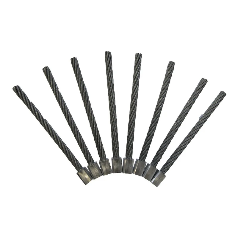 ERCO Ersatzbürsten - 1 Satz EWB-08EB