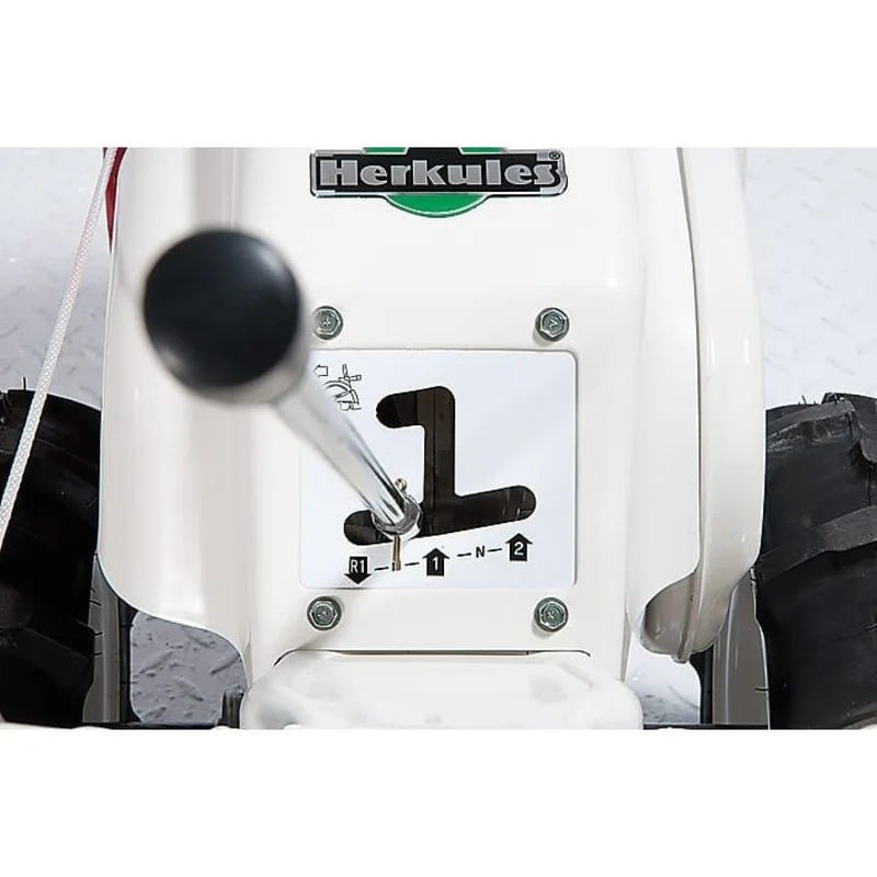 Benzin-Bodenfräse SF 600 D / GX160