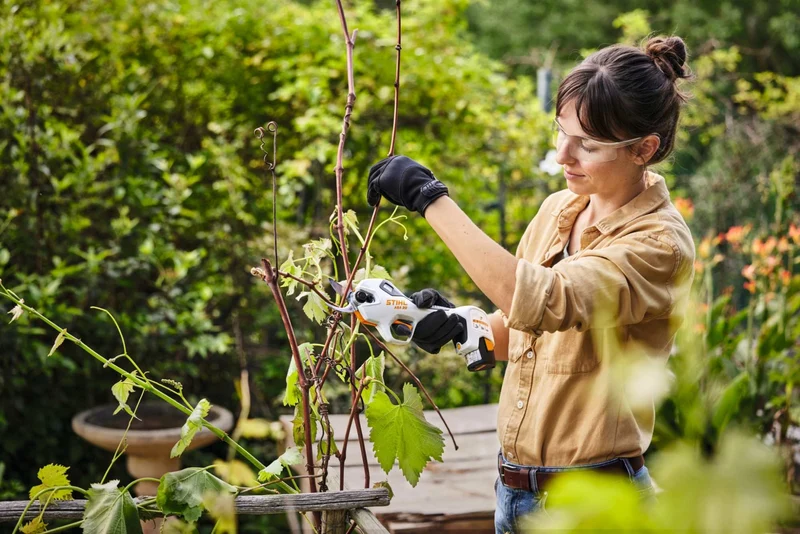 STIHL Akku Astschere ASA 20, mit Akku AS 2 und Ladegerät AL1