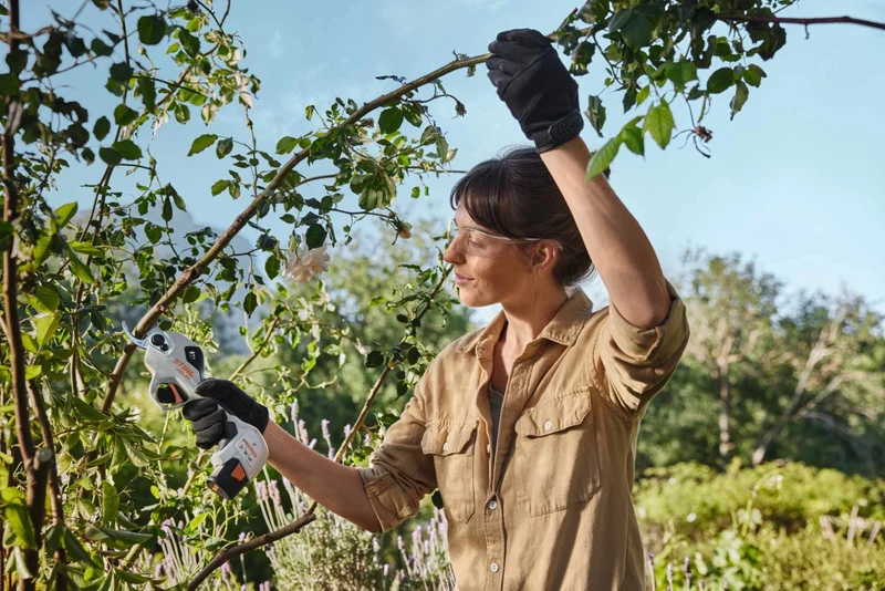 STIHL Astsäge ASA 20, ohne Akku und Ladegerät
