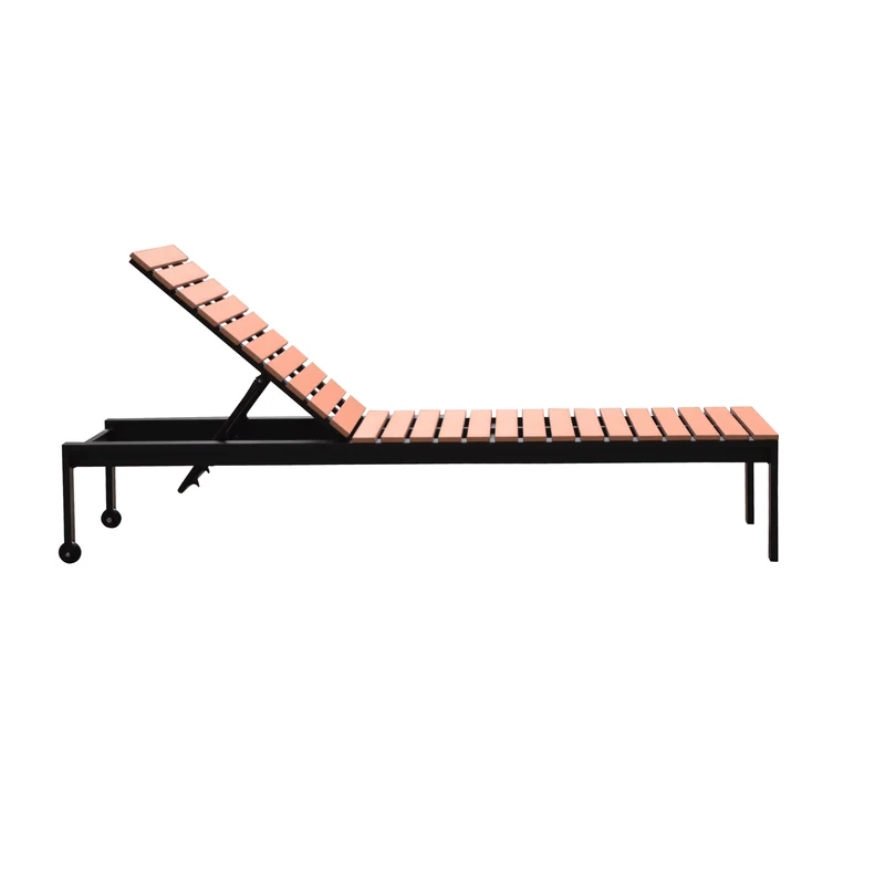 Luxe Tuin Ligbed met Ligkussen en Verstelbaar hoofdkussen
