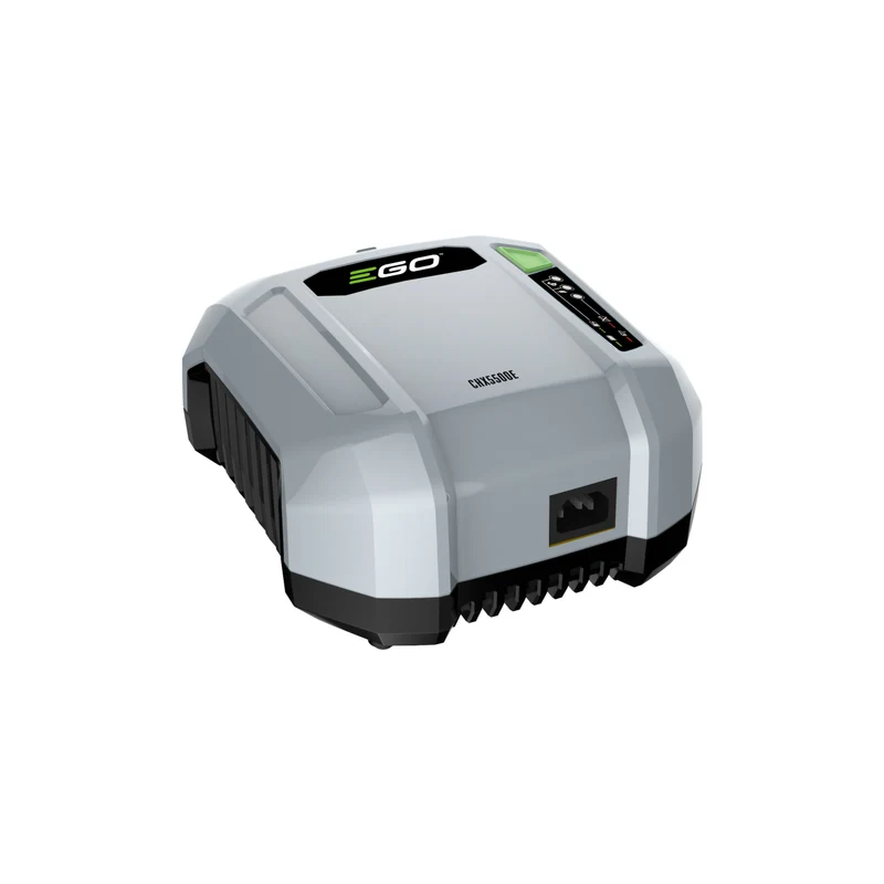 Akku-Ladegerät für Profis CHX5500E