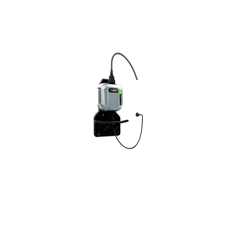 Akku-Ladegerät für Profis CHX5500E