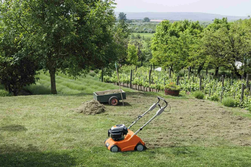 STIHL Benzin-Rasenlüfter RL 540