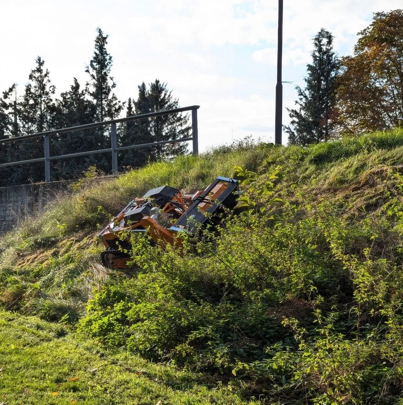 Mähraupe mieten im Erzgebirge, Chemnitz, Zwickau & Leipzig