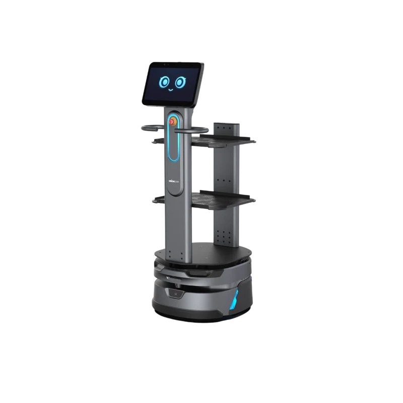 Orionstar CarryBot 2 Lieferroboter