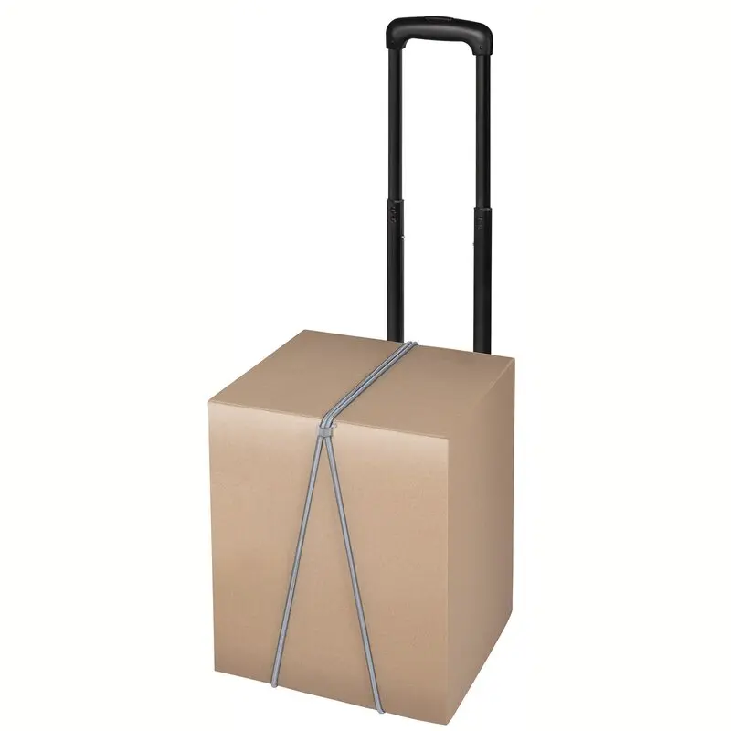 Sackkarre WZ-HT 50-2