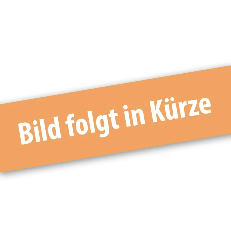 FUXTEC Zündspule für LBP165T