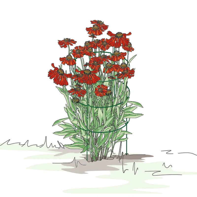 bellissa Staudenstütze FALTER:43,5 x B 43,5 x H 78 cm, grün