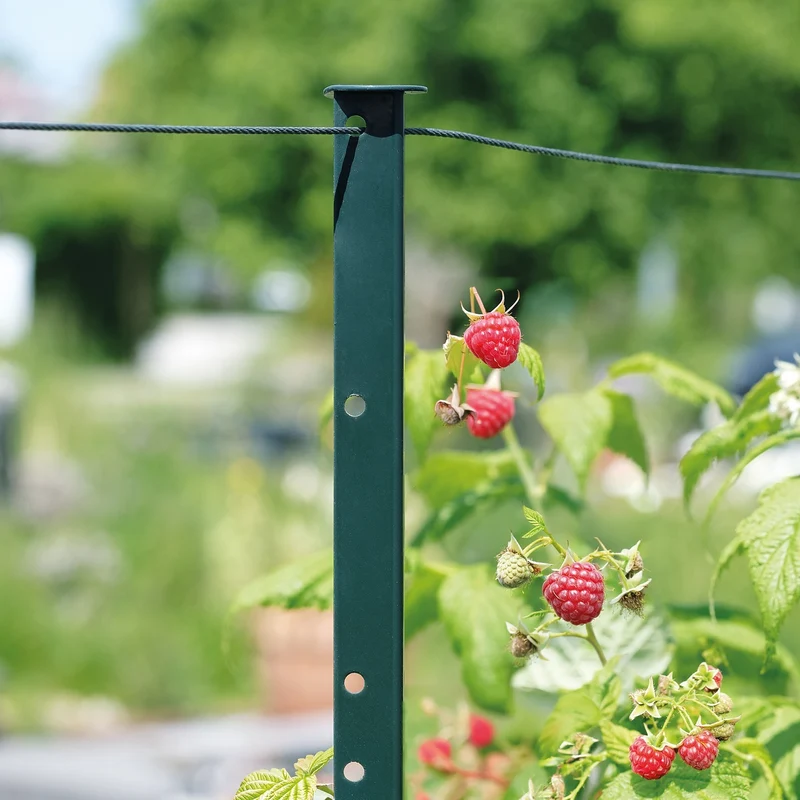 bellissa Himbeer & Brombeer Rankhilfe HIMBEERTRAUM:L300 x B3 x H180cm