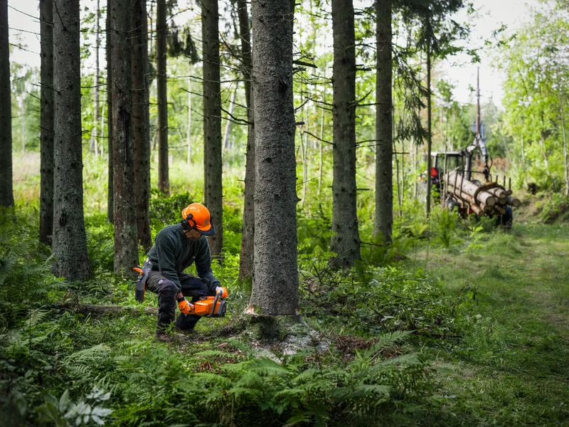 Kettensäge 450X