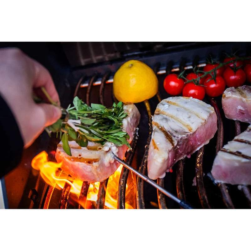 Napoleon Gasgriller Prestige® 500 Connected / Schwarz