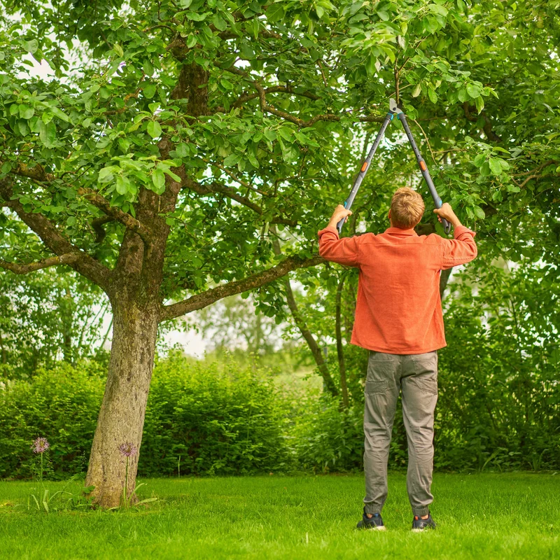 Gardena Astschere TeleCut Pro L