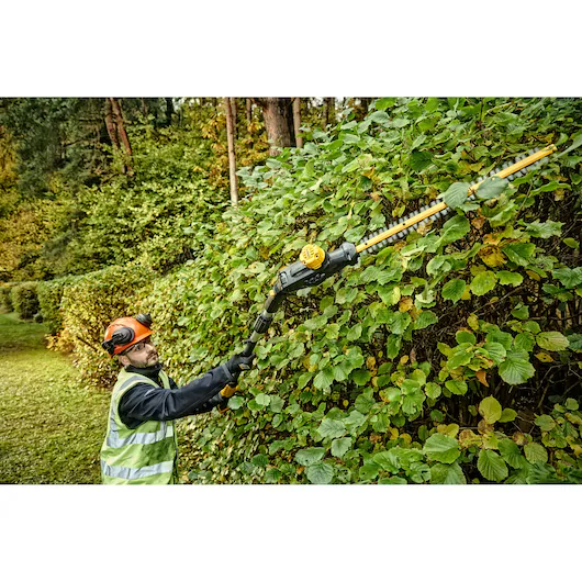 DeWALT DCMPH566 N-XJ 18 Volt Akku-Stabheckenschere 55 cm