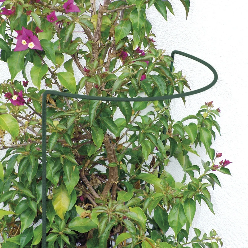 GartenAZ Busch- und Strauchstütze (LxBxH) 14 cm x 40 cm x 70 cm