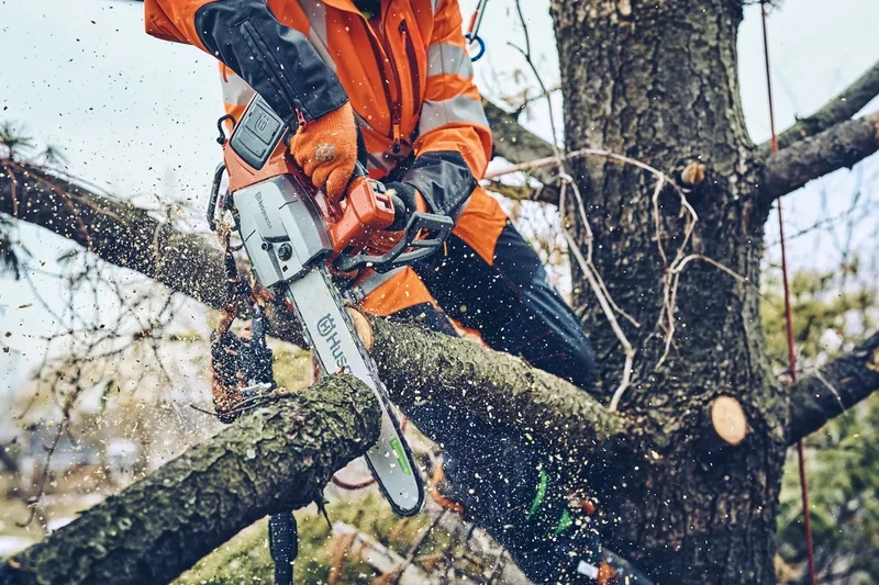 Kettensäge T542i XP® (14")